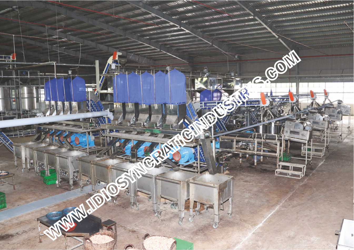 Cashew Processing Plant - Idiosyncratic Industries Pvt Ltd